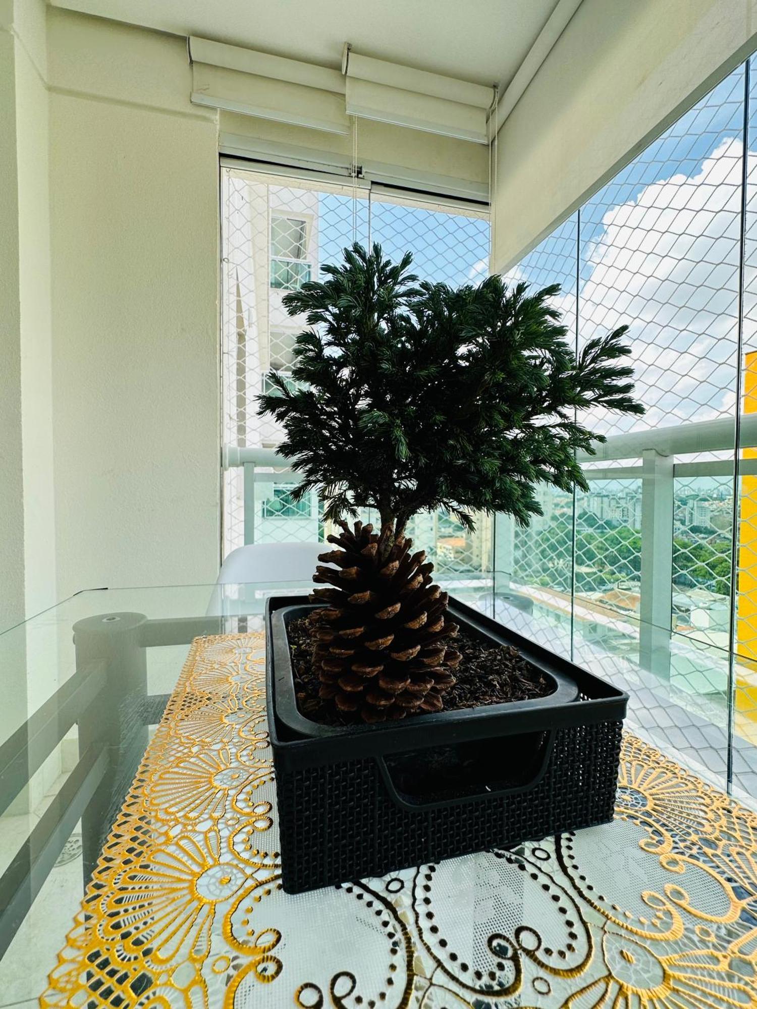 Apartamento Apto Congonhas Sp- Conforto & Charme Local São Paulo